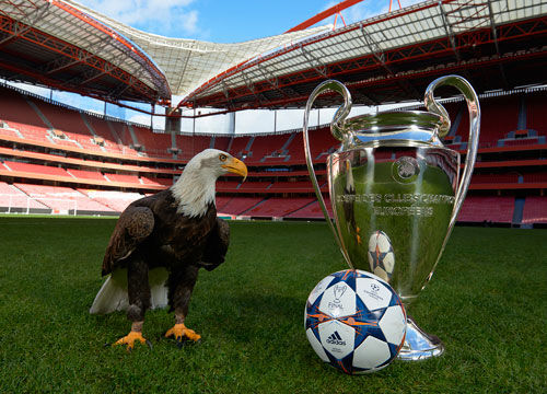 表述留余地 表述留余地